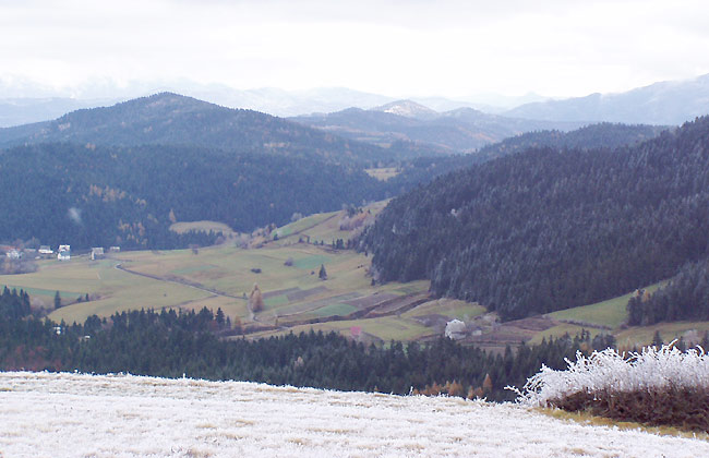 Widok z okolic Magorzycy. W tle Beskid Sądecki